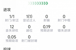 绝杀还是误判？格瓦迪奥尔争议球引发英超焦点争议