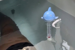 战报：詹姆斯训练后泡冰水浴