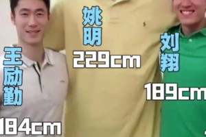 上海F4同框这又是谁的青春？姚明刘翔王励勤范志毅！