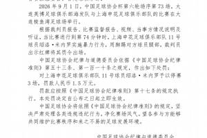 强强对决，申花米内罗暴力冲突引争议，红牌停赛3场