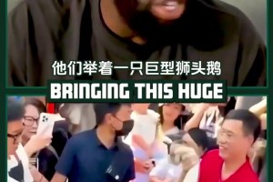 格林回忆中国行遇见狮头鹅：它把我吓尿了，超出我的接受范围
